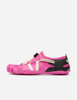 Spidrwalk Fuchsia